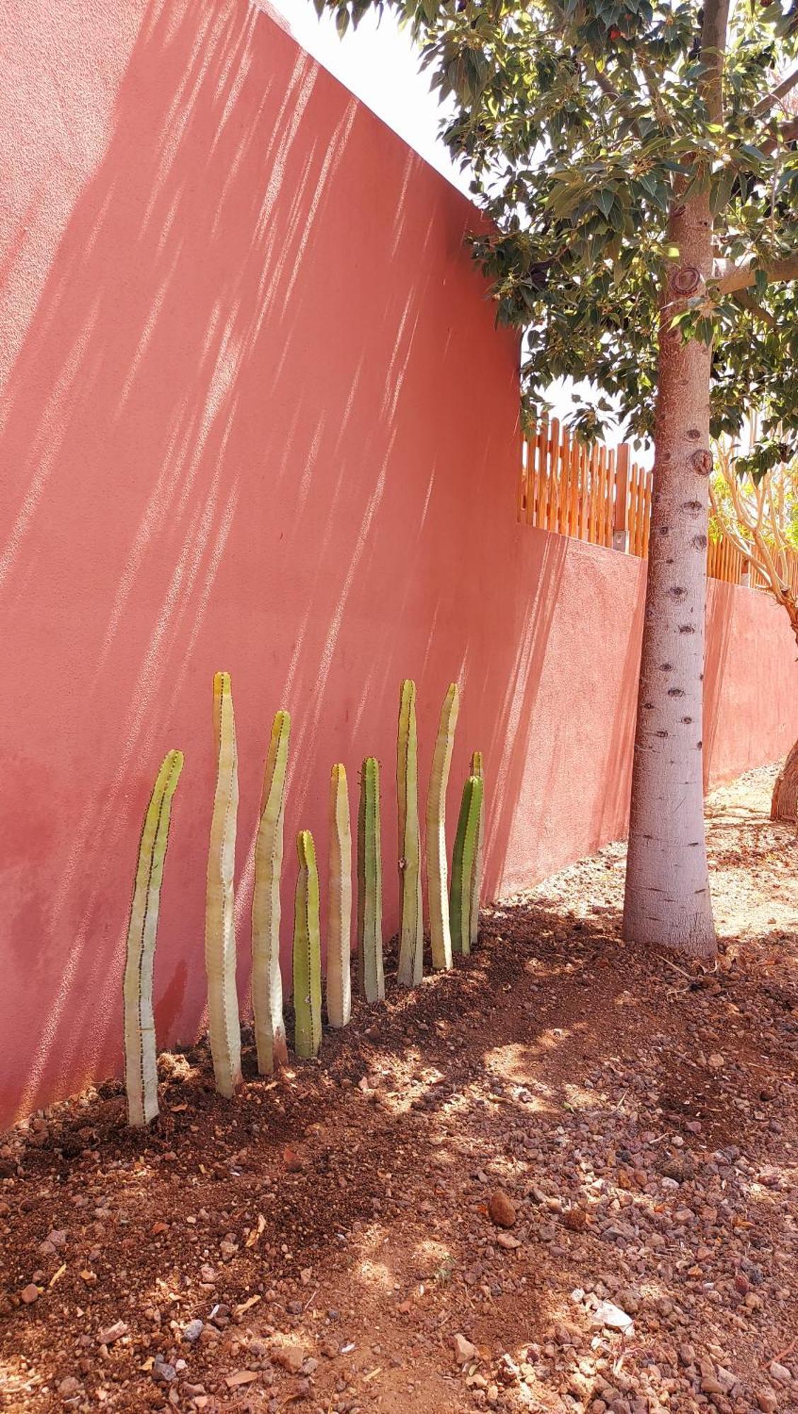 Adosado La Tabaiba Villa San Miguel de Abona Bagian luar foto